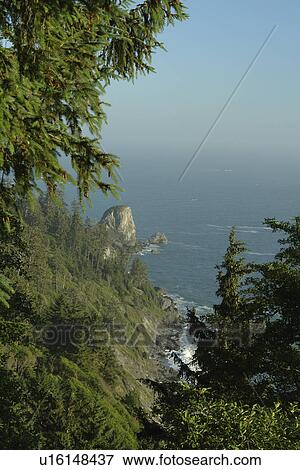 Stock Photo -  Redwood National and State Parks, CA, California, Pacific Ocean, Del Norte Coast Redwoods State Park. Fotosearch