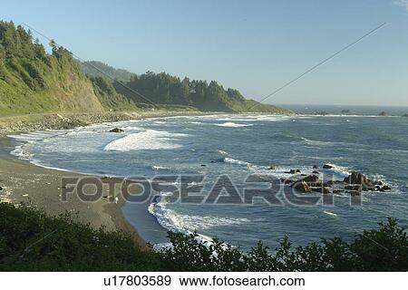 Stock Photo -  Redwood National and State Parks, CA, California, Pacific Ocean, Del Norte Coast Redwoods State Park. Fotosearch