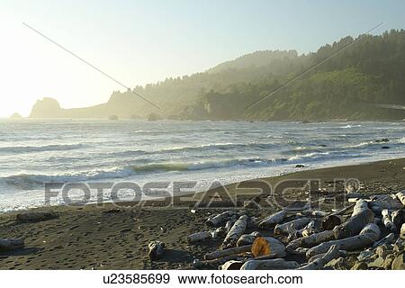 Stock Photo -  Redwood National and State Parks, CA, California, Pacific Ocean, Del Norte Coast Redwoods State Park. Fotosearch