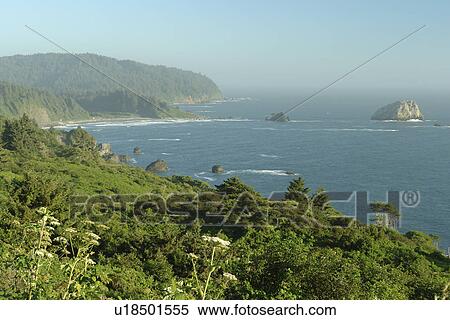 Stock Photography -  Redwood National and State Parks, CA, California, Pacific Ocean, Del Norte Coast Redwoods State Park. Fotosearch