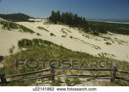 Stock Image -  Reedsport, Florence, OR, Oregon, Pacific Ocean, Pacific Coast Scenic Byway, Rt Route, Highway 101, Oregon Dunes National Recreation Area, Siuslaw National Forest, overlook. Fotosearch