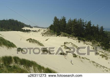 Stock Image -  Reedsport, Florence, OR, Oregon, Pacific Ocean, Pacific Coast Scenic Byway, Rt Route, Highway 101, Oregon Dunes National Recreation Area, Siuslaw National Forest, overlook. Fotosearch
