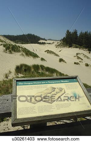 Stock Image -  Reedsport, Florence, OR, Oregon, Pacific Ocean, Pacific Coast Scenic Byway, Rt Route, Highway 101, Oregon Dunes National Recreation Area, Siuslaw National Forest, overlook. Fotosearch