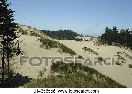 Stock Photograph -  Reedsport, Florence, OR, Oregon, Pacific Ocean, Pacific Coast Scenic Byway, Rt Route, Highway 101, Oregon Dunes National Recreation Area, Siuslaw National Forest, overlook. Fotosearch