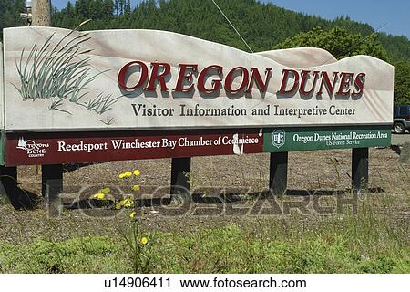 Reedsport, OR, Oregon, Pacific Ocean, Pacific Coast Scenic Byway, Rt Route, Highway 101, Oregon Dunes National Recreation Area, Siuslaw National Forest, visitor center sign View Large Photo Image Stock Image - Reedsport, OR, Oregon, Pacific Ocean, Pacific Coast Scenic Byway, Rt Route, Highway 101, Oregon Dunes National Recreation Area, Siuslaw National Forest, visitor center sign. Fotosearch