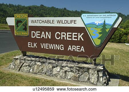 Reedsport, OR, Oregon, Pacific Ocean, Pacific Coast Scenic Byway, Rt Route, Highway 101, O. H. Hinsdale Interpretive Center, Dean Creek Elk Viewing Area View Large Photo Image Stock Photo - Reedsport, OR, Oregon, Pacific Ocean, Pacific Coast Scenic Byway, Rt Route, Highway 101, O. H. Hinsdale Interpretive Center, Dean Creek Elk Viewing Area. Fotosearch
