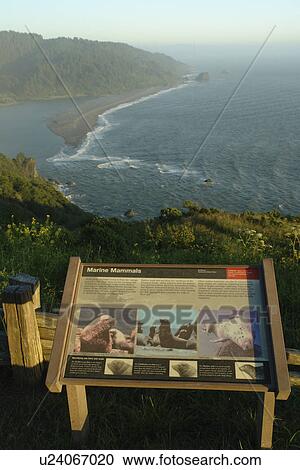 Requa, CA, California, Pacific Ocean, Redwood National and State Parks, Klamath River Overlook View Large Photo Image Stock Image - Requa, CA, California, Pacific Ocean, Redwood National and State Parks, Klamath River Overlook. Fotosearch