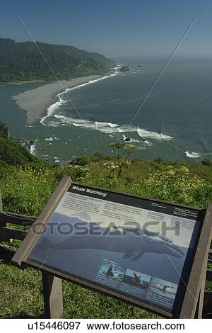 Requa, CA, California, Pacific Ocean, Redwood National and State Parks, Klamath River Overlook, whale watching sign View Large Photo Image Stock Photo - Requa, CA, California, Pacific Ocean, Redwood National and State Parks, Klamath River Overlook, whale watching sign. Fotosearch