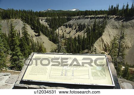 Rogue River National Forest, OR, Oregon, Annie Creek Lookout, Volcanic Legacy Oregon Scenic Byway, Cascade Range, overlook, interpretive sign View Large Photo Image Stock Image - Rogue River National Forest, OR, Oregon, Annie Creek Lookout, Volcanic Legacy Oregon Scenic Byway, Cascade Range, overlook, interpretive sign. Fotosearch