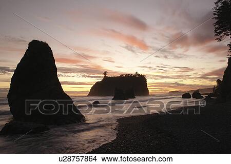 Ruby Beach, WA, Washington, Pacific Ocean, Olympic Peninsula, Olympic National Park, sunset, seastacks, sea arches View Large Photo Image Picture - Ruby Beach, WA, Washington, Pacific Ocean, Olympic Peninsula, Olympic National Park, sunset, seastacks, sea arches. Fotosearch