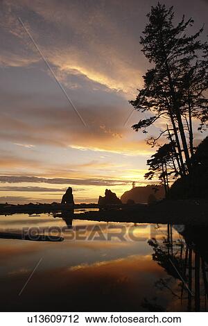 Ruby Beach, WA, Washington, Pacific Ocean, Olympic Peninsula, Olympic National Park, sunset View Large Photo Image Stock Image - Ruby Beach, WA, Washington, Pacific Ocean, Olympic Peninsula, Olympic National Park, sunset. Fotosearch