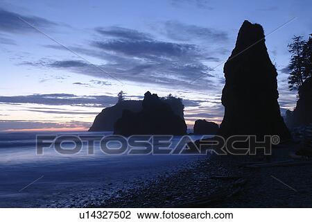 Ruby Beach, WA, Washington, Pacific Ocean, Olympic Peninsula, Olympic National Park, sunset, seastacks, sea arches View Large Photo Image Stock Image - Ruby Beach, WA, Washington, Pacific Ocean, Olympic Peninsula, Olympic National Park, sunset, seastacks, sea arches. Fotosearch