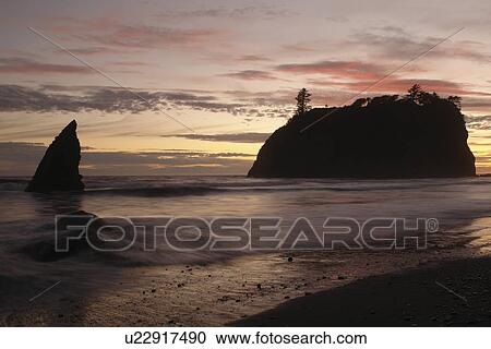 Ruby Beach, WA, Washington, Pacific Ocean, Olympic Peninsula, Olympic National Park, sunset, seastacks, sea arches View Large Photo Image Stock Image - Ruby Beach, WA, Washington, Pacific Ocean, Olympic Peninsula, Olympic National Park, sunset, seastacks, sea arches. Fotosearch