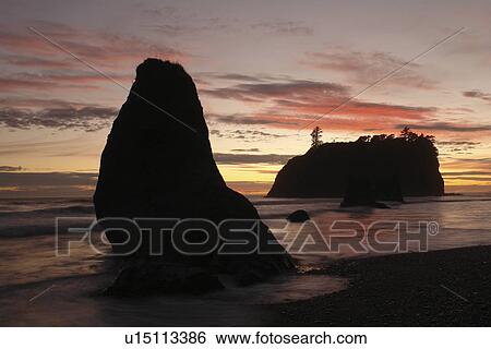 Ruby Beach, WA, Washington, Pacific Ocean, Olympic Peninsula, Olympic National Park, sunset, seastacks, sea arches View Large Photo Image Stock Photograph - Ruby Beach, WA, Washington, Pacific Ocean, Olympic Peninsula, Olympic National Park, sunset, seastacks, sea arches. Fotosearch