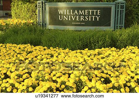 Salem, OR, Oregon, Willamette University, entrance sign View Large Photo Image Stock Photo - Salem, OR, Oregon, Willamette University, entrance sign. Fotosearch