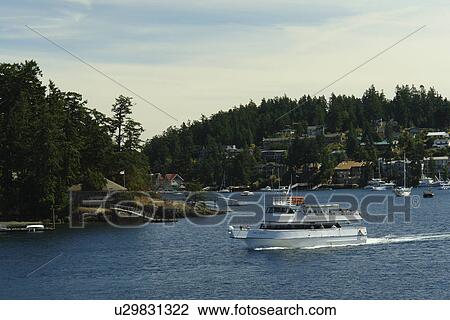 San Juan Island, WA, Washington, Puget Sound, San Juan Islands, Friday Harbor, tourboat View Large Photo Image Stock Image - San Juan Island, WA, Washington, Puget Sound, San Juan Islands, Friday Harbor, tourboat. Fotosearch