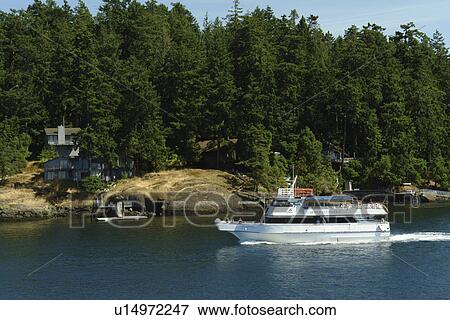 San Juan Island, WA, Washington, Puget Sound, San Juan Islands, Friday Harbor, tourboat View Large Photo Image Stock Photo - San Juan Island, WA, Washington, Puget Sound, San Juan Islands, Friday Harbor, tourboat. Fotosearch