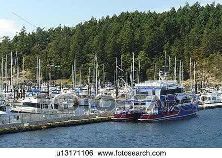 San Juan Island, WA, Washington, Puget Sound, San Juan Islands, Friday Harbor, marina View Large Photo Image Stock Photograph - San Juan Island, WA, Washington, Puget Sound, San Juan Islands, Friday Harbor, marina. Fotosearch