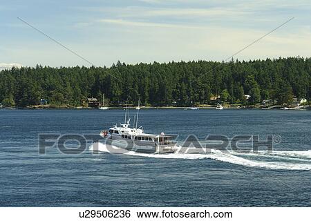Stock Photograph -  San Juan Island, WA, Washington, Puget Sound, San Juan Islands, Friday Harbor, Washington State ferry to British Columbia, Canada, tour boat. Fotosearch