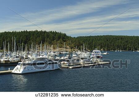 San Juan Island, WA, Washington, Puget Sound, San Juan Islands, Friday Harbor, marina View Large Photo Image Stock Photography - San Juan Island, WA, Washington, Puget Sound, San Juan Islands, Friday Harbor, marina. Fotosearch