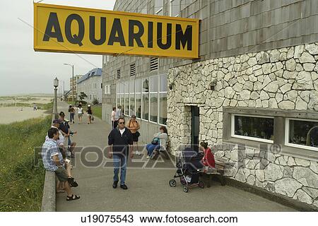 Seaside, OR, Oregon, Pacific Ocean, Pacific Coast Scenic Byway, Rt Route, Highway 101, Seaside Aquarium View Large Photo Image Stock Image - Seaside, OR, Oregon, Pacific Ocean, Pacific Coast Scenic Byway, Rt Route, Highway 101, Seaside Aquarium. Fotosearch