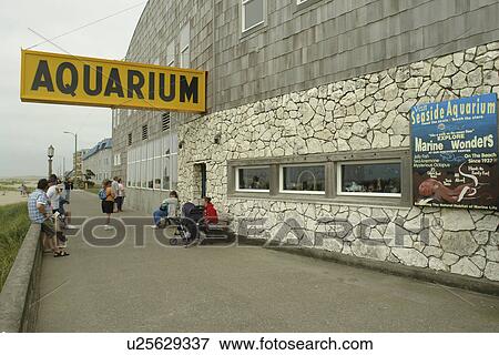 Stock Photo -  Seaside, OR, Oregon, Pacific Ocean, Pacific Coast Scenic Byway, Rt Route, Highway 101, Seaside Aquarium. Fotosearch