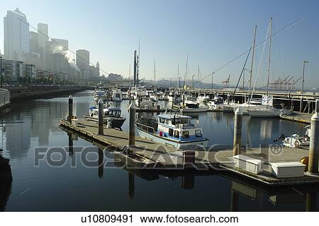 Seattle, WA, Washington, Puget Sound, Elliot Bay, Bell Street, Harbor, Marina View Large Photo Image Stock Image - Seattle, WA, Washington, Puget Sound, Elliot Bay, Bell Street, Harbor, Marina. Fotosearch