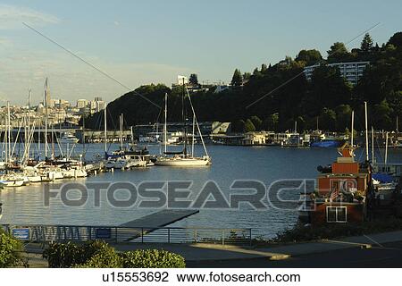 Seattle, WA, Washington, Puget Sound, Lake Union, marina View Large Photo Image Stock Image - Seattle, WA, Washington, Puget Sound, Lake Union, marina. Fotosearch