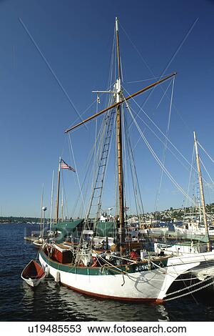 Seattle, WA, Washington, Puget Sound, South Lake Union Historic Ships Wharf, annual festival of wooden boats View Large Photo Image Stock Image -  Seattle, WA, Washington, Puget Sound, South Lake Union Historic Ships Wharf, annual festival of wooden boats. Fotosearch