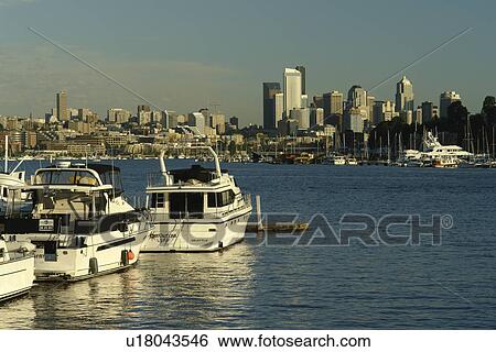 Seattle, WA, Washington, Puget Sound, Lake Union, North Shore, boats View Large Photo Image Stock Photograph - Seattle, WA, Washington, Puget Sound, Lake Union, North Shore, boats. Fotosearch