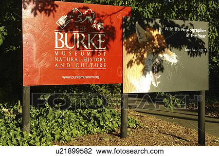 Seattle, WA, Washington, University of Washington, Burke Museum of Natural History and Culture View Large Photo Image Stock Image - Seattle, WA, Washington, University of Washington, Burke Museum of Natural History and Culture. Fotosearch