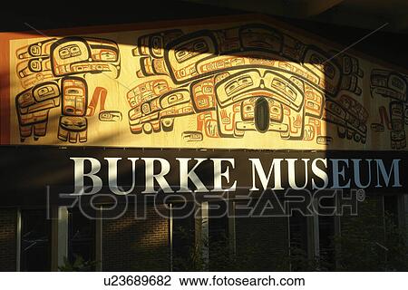 Seattle, WA, Washington, University of Washington, Burke Museum of Natural History and Culture View Large Photo Image Stock Image - Seattle, WA, Washington, University of Washington, Burke Museum of Natural History and Culture. Fotosearch