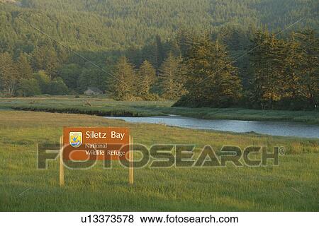 Stock Photo -  Siletz, OR, Oregon, Pacific Ocean, Pacific Coast Scenic Byway, Rt Route, Highway 101, Siletz Bay National Wildlife Refuge. Fotosearch