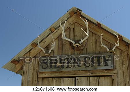 Silver City, ID, Idaho, Ghost Town, Owyhee Mountains, antlers on building View Large Photo Image Stock Photo - Silver City, ID, Idaho, Ghost Town, Owyhee Mountains, antlers on building. Fotosearch
