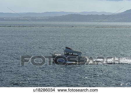 Spieden Island, WA, Washington, Puget Sound, San Juan Islands, Haro Strait, Washington State ferry to British Columbia, Canada View Large Photo Image Picture - Spieden Island, WA, Washington, Puget Sound, San Juan Islands, Haro Strait, Washington State ferry to British Columbia, Canada. Fotosearch
