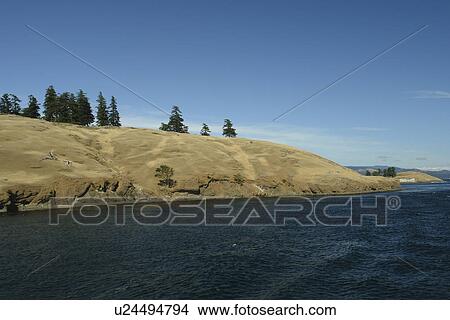 Picture -  Spieden Island, WA, Washington, Puget Sound, San Juan Islands, Haro Strait, Washington State ferry to British Columbia, Canada. Fotosearch