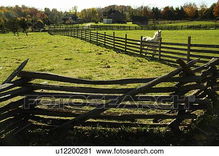 Staunton, VA, Virginia, Shenandoah Valley, Frontier Culture Museum, horse, pasture View Large Photo Image Stock Image - Staunton, VA, Virginia, Shenandoah Valley, Frontier Culture Museum, horse, pasture. Fotosearch