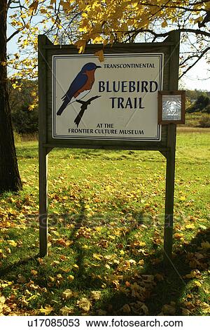 Staunton, VA, Virginia, Shenandoah Valley, Frontier Culture Museum, Transcontinental Bluebird Trail, sign View Large Photo Image Stock Image - Staunton, VA, Virginia, Shenandoah Valley, Frontier Culture Museum, Transcontinental Bluebird Trail, sign. Fotosearch