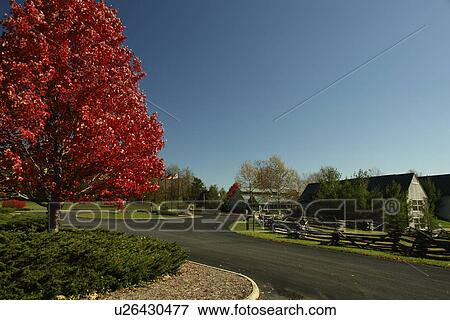 Staunton, VA, Virginia, Shenandoah Valley, Frontier Culture Museum, autumn View Large Photo Image Stock Photo - Staunton, VA, Virginia, Shenandoah Valley, Frontier Culture Museum, autumn. Fotosearch