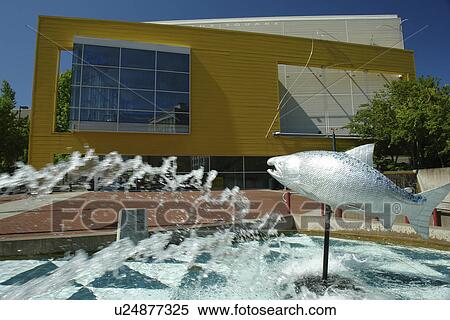 Tacoma, WA, Washington, Historic Downtown, Broadway Center for the Performing Arts on the Square, fountain View Large Photo Image Stock Photography - Tacoma, WA, Washington, Historic Downtown, Broadway Center for the Performing Arts on the Square, fountain. Fotosearch