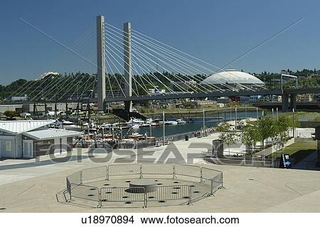 Tacoma, WA, Washington, Puget Sound, SR 509 Cable-stayed Bridge, Thea Foss Waterway, marina View Large Photo Image Picture -  Tacoma, WA, Washington, Puget Sound, SR 509 Cable-stayed Bridge, Thea Foss Waterway, marina. Fotosearch