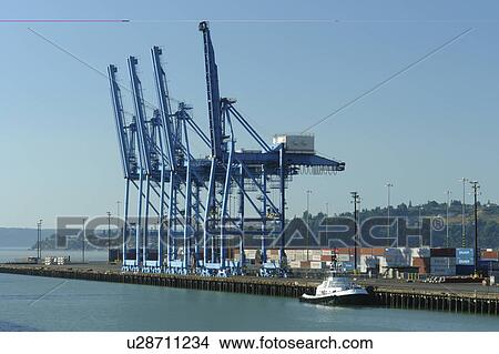 Tacoma, WA, Washington, Puget Sound, Port of Tacoma View Large Photo Image Picture - Tacoma, WA, Washington, Puget Sound, Port of Tacoma. Fotosearch