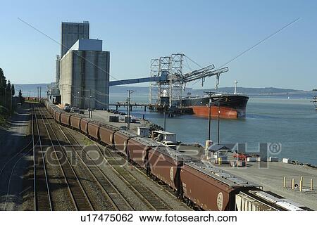 Tacoma, WA, Washington, Puget Sound, Commencement Bay, Tacoma Harbor, grain elevator, freighter, train, railroad, tracks View Large Photo Image Stock Image - Tacoma, WA, Washington, Puget Sound, Commencement Bay, Tacoma Harbor, grain elevator, freighter, train, railroad, tracks. Fotosearch
