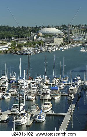 Stock Image -  Tacoma, WA, Washington, Puget Sound, Thea Foss Waterway, marina, Tacoma Dome and Exhibition Hall, SR 509 Cable-stayed Bridge. Fotosearch
