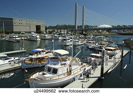 Tacoma, WA, Washington, Puget Sound, SR 509 Cable-stayed Bridge, Thea Foss Waterway, marina View Large Photo Image Stock Image - Tacoma, WA, Washington, Puget Sound, SR 509 Cable-stayed Bridge, Thea Foss Waterway, marina. Fotosearch