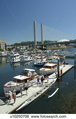 Stock Photo -  Tacoma, WA, Washington, Puget Sound, SR 509 Cable-stayed Bridge, Thea Foss Waterway, marina. Fotosearch