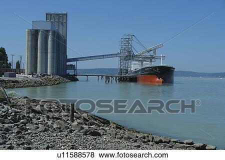 Tacoma, WA, Washington, Puget Sound, Commencement Bay, Tacoma Harbor, grain elevator, freighter View Large Photo Image Stock Photo - Tacoma, WA, Washington, Puget Sound, Commencement Bay, Tacoma Harbor, grain elevator, freighter. Fotosearch
