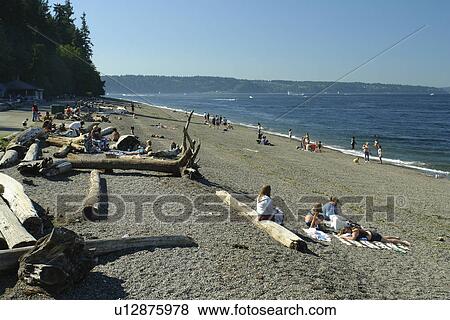 Stock Photo -  Tacoma, WA, Washington, Puget Sound, Point Defiance Park. Fotosearch