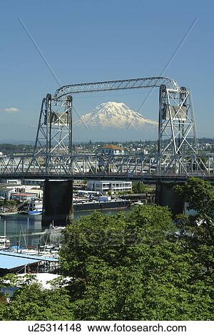 Tacoma, WA, Washington, Puget Sound, Commencement Bay, Tacoma Harbor, Murray Morgan Bridge, Mount Rainier View Large Photo Image Stock Photo - Tacoma, WA, Washington, Puget Sound, Commencement Bay, Tacoma Harbor, Murray Morgan Bridge, Mount Rainier. Fotosearch