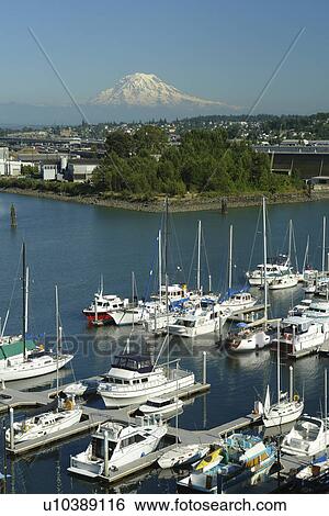 Stock Photograph -  Tacoma, WA, Washington, Puget Sound, Thea Foss Waterway, marina, Mount Rainier. Fotosearch